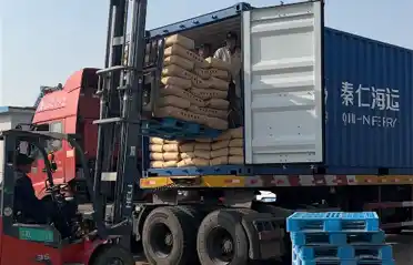 한국 바이어들이 루롱에서 고구마전분을 수입하는 이유는 무엇인가요? Tongyou Potato Industry의 선적 및 선적 프로세스 살펴보기